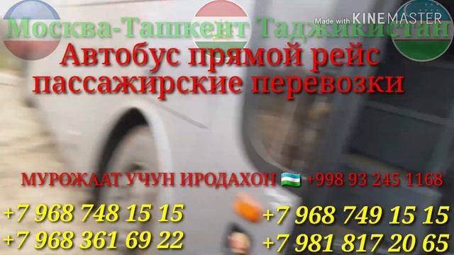 Москва Узбекистан Таджикистан автобус смотреть онлайн