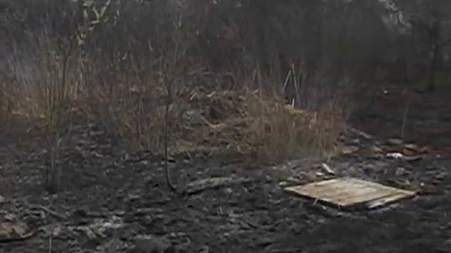 Из за выжигания сухой травы сгорело 7 построек смотреть онлайн