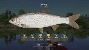 Русская рыбалка 4 Трофей Ельца на реке Вьюнок