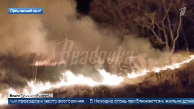Первый канал Более десятка административных дел возбудили в Приморском крае из-за природных пожаров смотреть онлайн