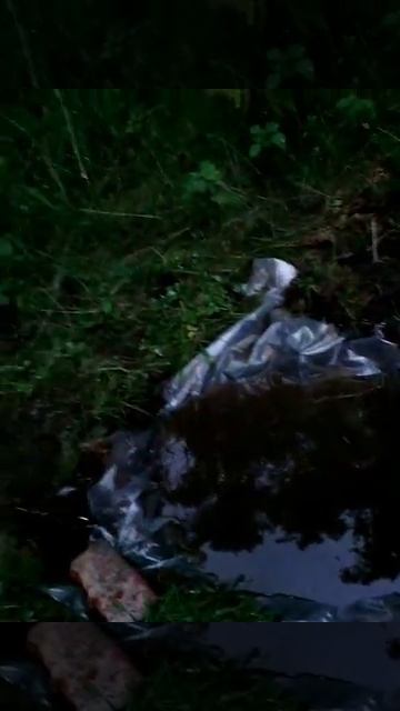 Искусственный пруд