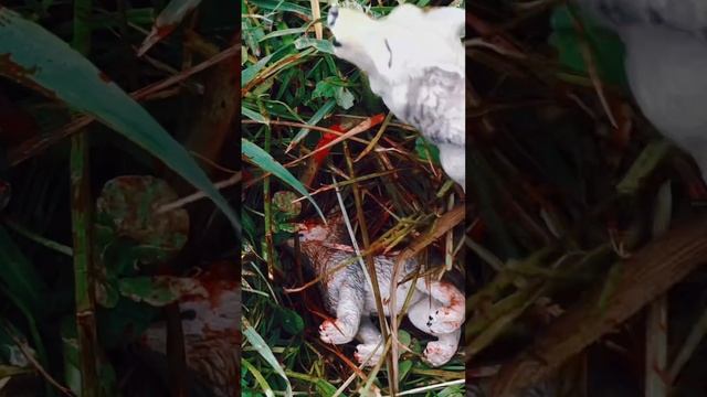 Сериал «Переселенцы» 1 серия смотреть онлайн