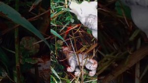 Сериал «Переселенцы» 1 серия