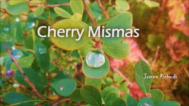 Jomme Richards - Cherry Mismas смотреть онлайн