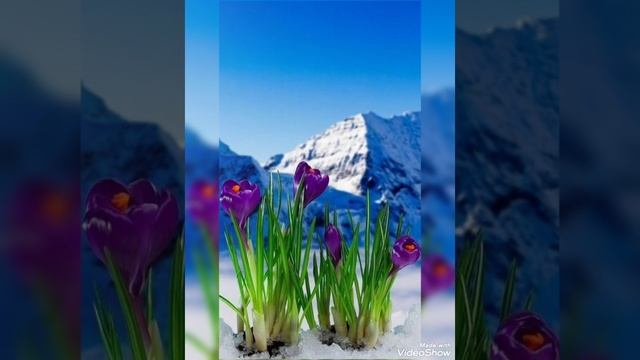 С Добрым весенним утром! смотреть онлайн