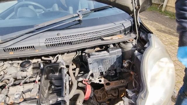 peugeot 107 Citroen c1 toyota aygo engine removal,head gasket blown #car #flippingcars #carrepair смотреть онлайн
