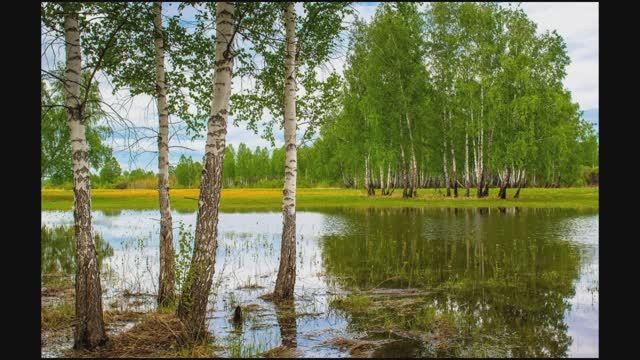 Фету. Константин Фофанов. смотреть онлайн