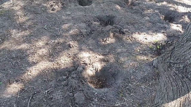 How I Made a Shade Garden | Vlog | Aug 22, 2022 смотреть онлайн