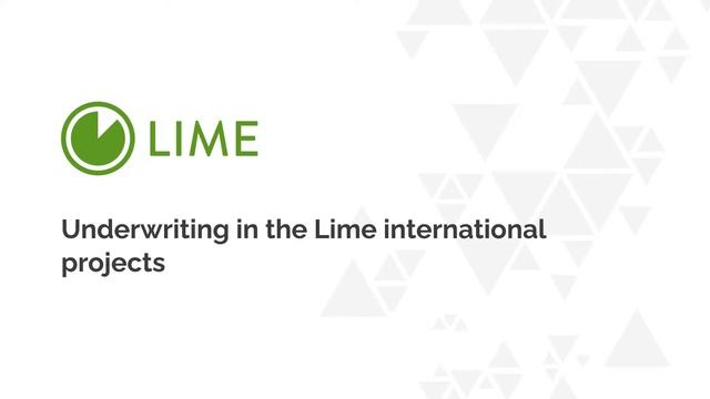 Lime International Story: Underwriting In Fintech