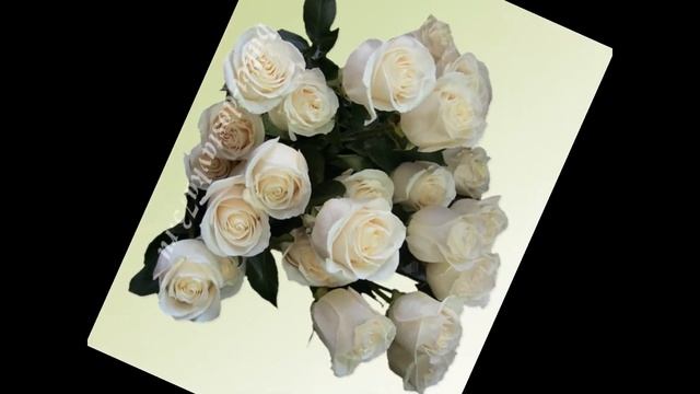 Пушинка белая смотреть онлайн