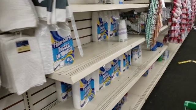 COME WITH ME TO DOLLAR TREE JUNE 2020