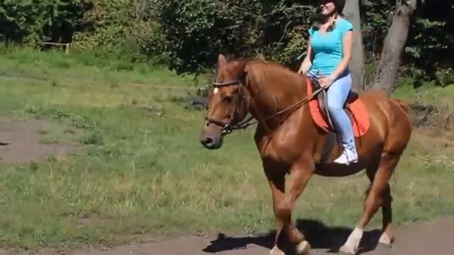 тройная походка на конях смотреть онлайн