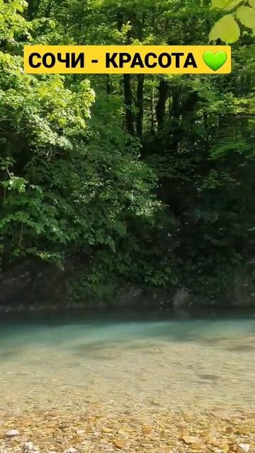 Сочи-Хоста. Земельные участки и дома в шаговой доступности у таких живописных мест 8-960-980-02-42 смотреть онлайн