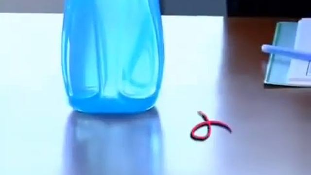 Tupperware Eco Bottle смотреть онлайн