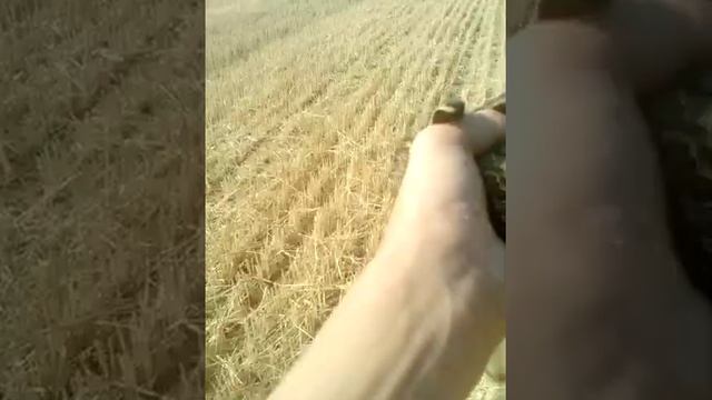 ДОБРЫЙ Я АРТЁМ???