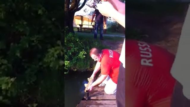 Втрой карп смотреть онлайн