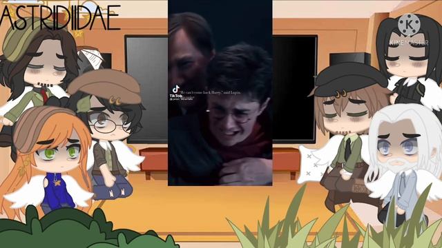 (HP) -» Dead Harry Potter characters react to Harry Potter tiktoks «- смотреть онлайн