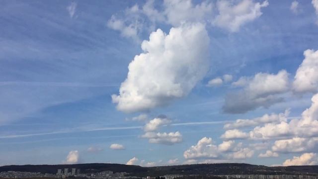 First days of spring timelapse смотреть онлайн