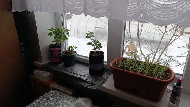 05-03-2025 Моя жизнь в деревне 🏠 смотреть онлайн