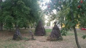 Ботанический сад Воронеж осень 2024 г.