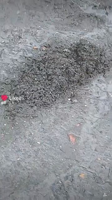 1000013234.mp4 смотреть онлайн
