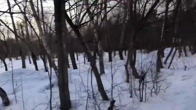 Гуляю по городу.🙋🏽♀️❄️🌲Наш Цум. смотреть онлайн
