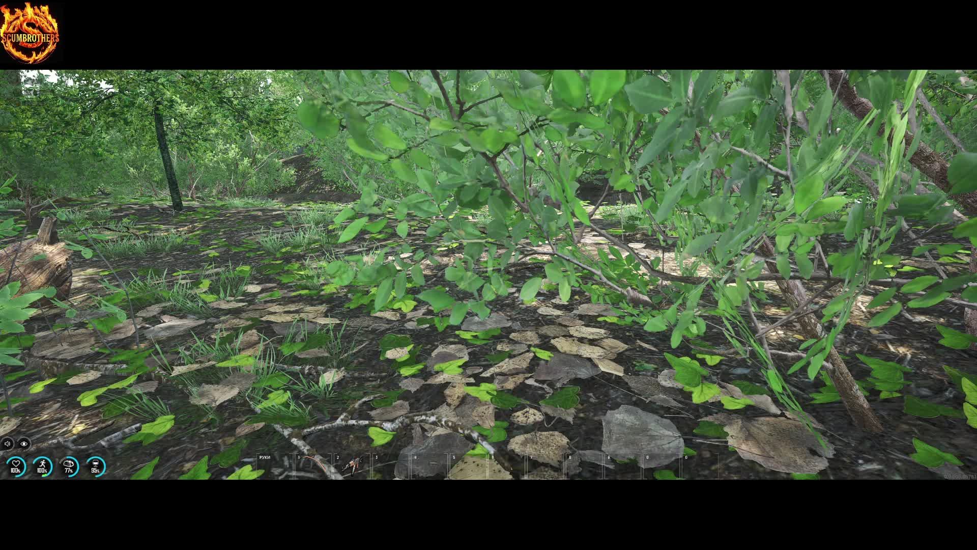 SCUM Test №2