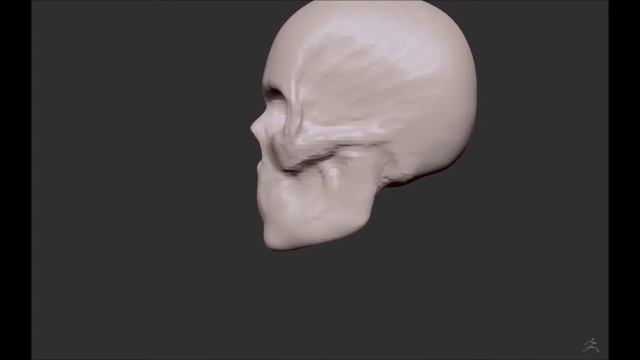 Digital Sculpting - Relearning Zbrush: 02 - skull 02 смотреть онлайн