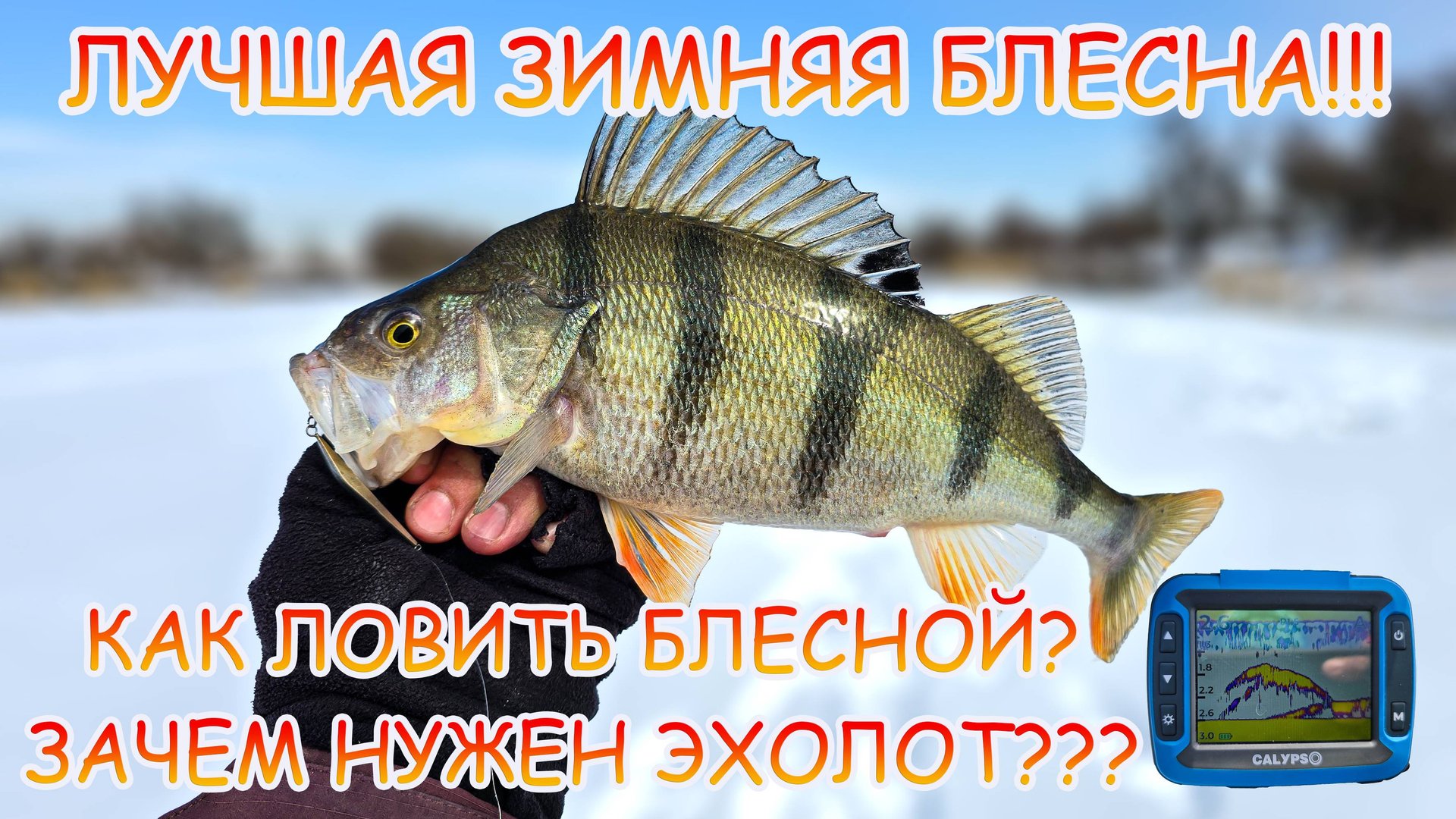 ЛУЧШАЯ блесна на ОКУНЯ 👍 МАРОПЕДКА ловит ВСЕГДА 💪 Как ловить блесной??? Окунь в эхолоте CALYPSO! смотреть онлайн