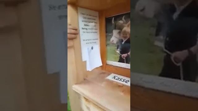 Сельский минимаркет в Швейцарии смотреть онлайн