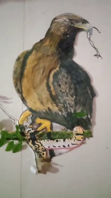 shorts the dengerous eagle colour drawing смотреть онлайн