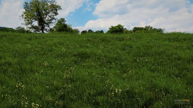 ABzHProd Architecture Realistic Grass Blender Cycles Tutorial смотреть онлайн