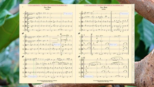 95032, Salsa Bonita für Streichquintett von Axel Antalis und Jean Pierre Ricard смотреть онлайн
