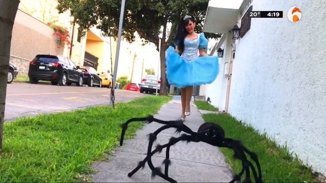 Princesita Ana Celia tiene una nueva mascota смотреть онлайн