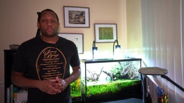 Lominie Full Spectrum LED Aquarium Light Review
