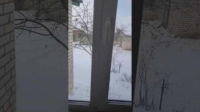 занавески смотреть онлайн