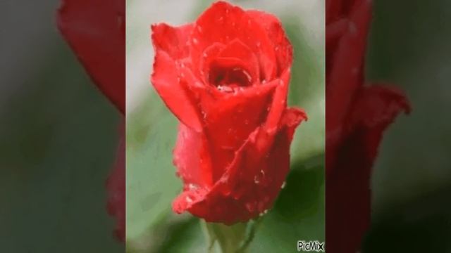 активация шишковидной железы смотреть онлайн