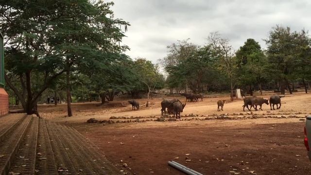 19 марта 2015 г. смотреть онлайн