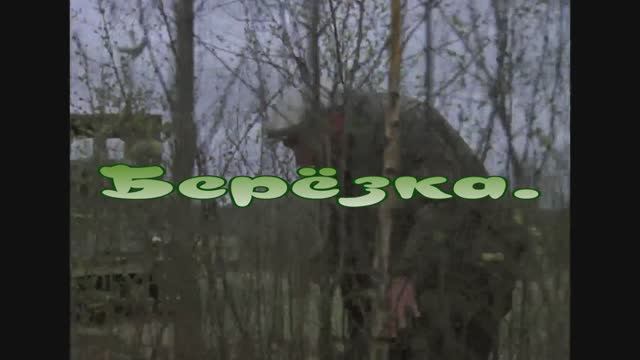Берёзка. смотреть онлайн