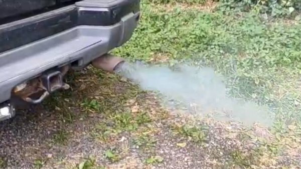 Шевроле Трйлблейзер и Мастер Концентрат РУТЕК