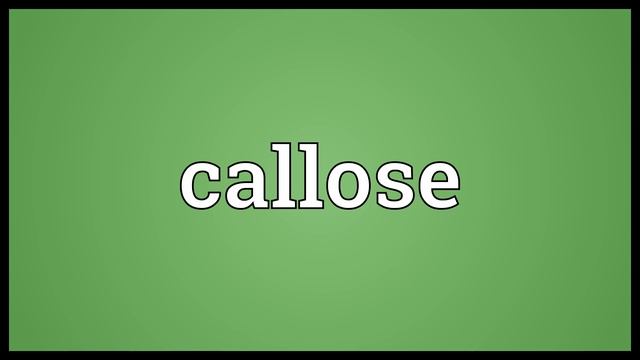 Callose Meaning смотреть онлайн