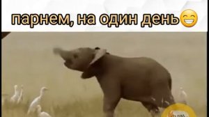 если бы девушка стала парнем, на один день😁😁😁