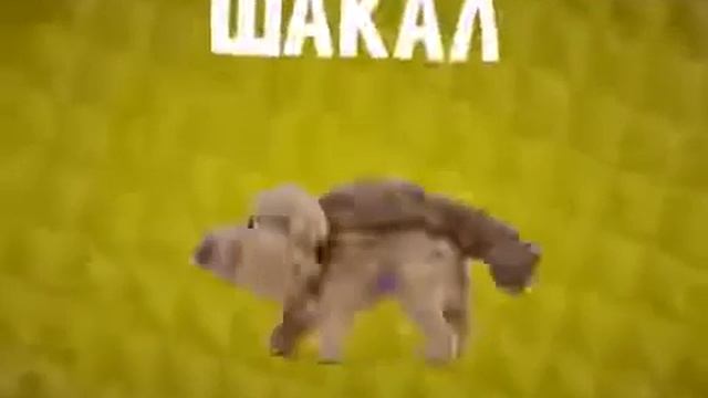 ШАКАЛ, БЛ@ТЬ смотреть онлайн