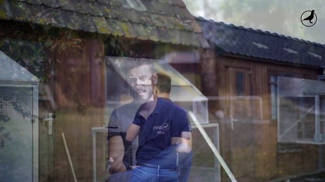 PIPA TV: Adrien Mirabelle (BE) смотреть онлайн