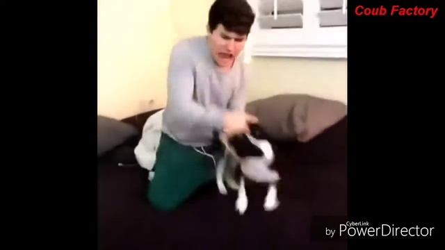 Дебилы 80 уровня #3 ! Смотреть всем! смотреть онлайн