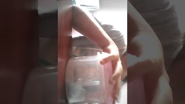 Мокрые лизуны!!!?? ШОК! мои лизуны протухли