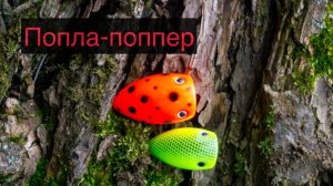 Обучу как сделать уникальный попла-поппер своими руками.