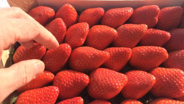 Maasikad veebruaris 2016 смотреть онлайн