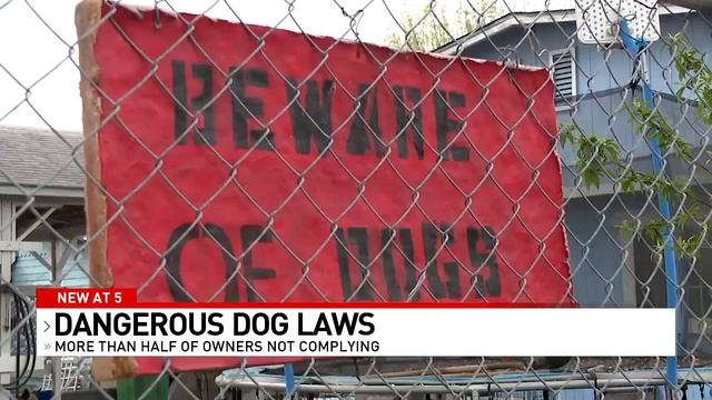 Most dangerous dog owners in San Antonio aren't following the law смотреть онлайн