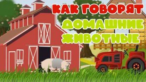 Мультики загадки для детей. Как говорят домашние животные. Мультики для малышей